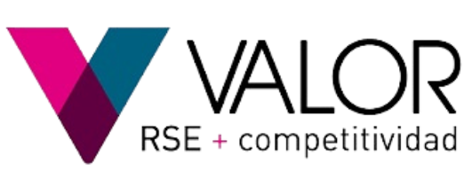 Valor RSE logo