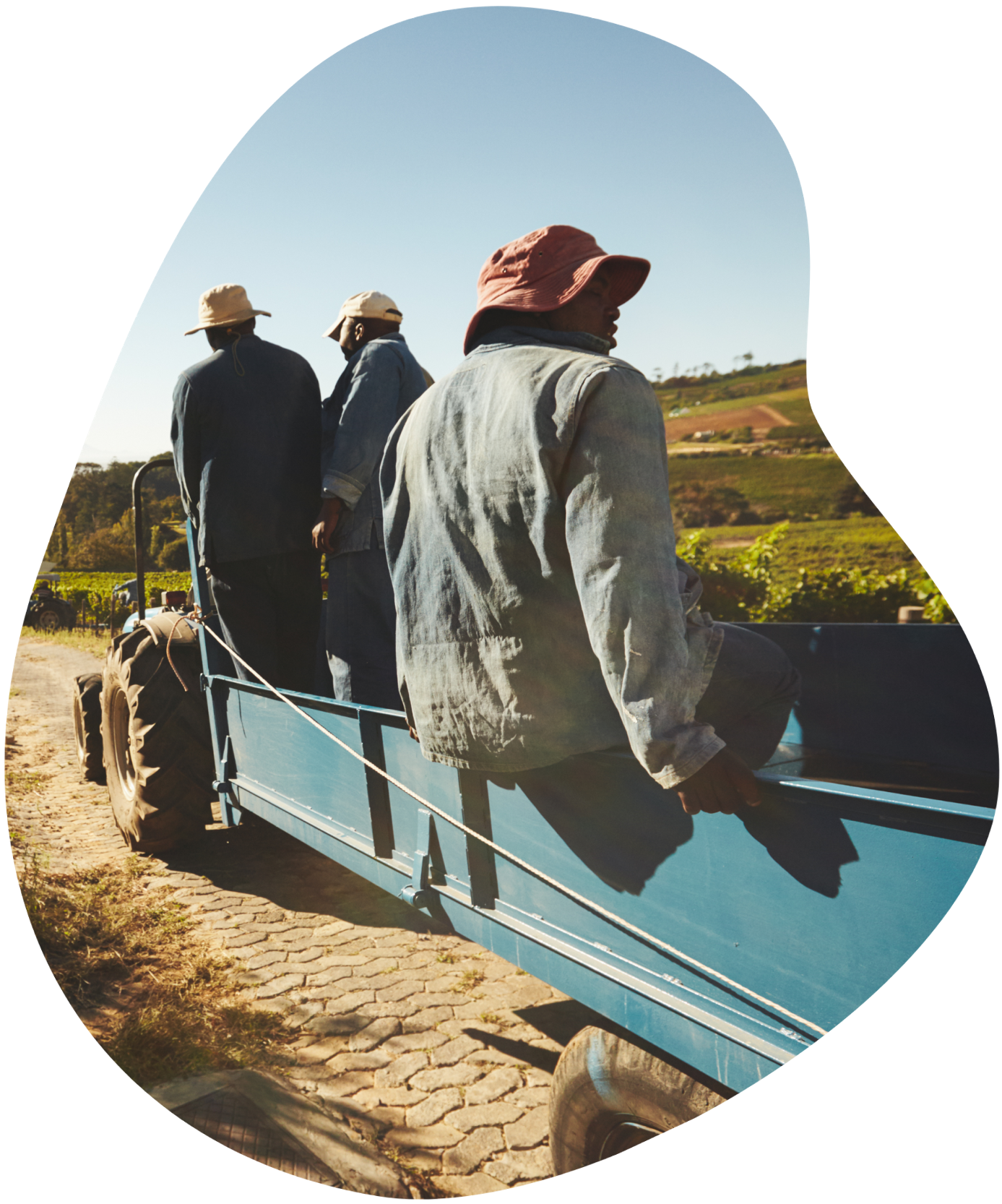 Migrant workers travelling in a wagon