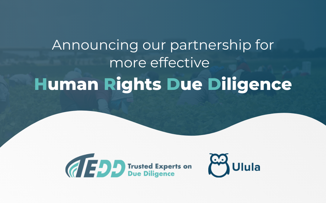 Ulula & VECTRA: Partnering to Advance Mandatory Human Rights Due Diligence Performance