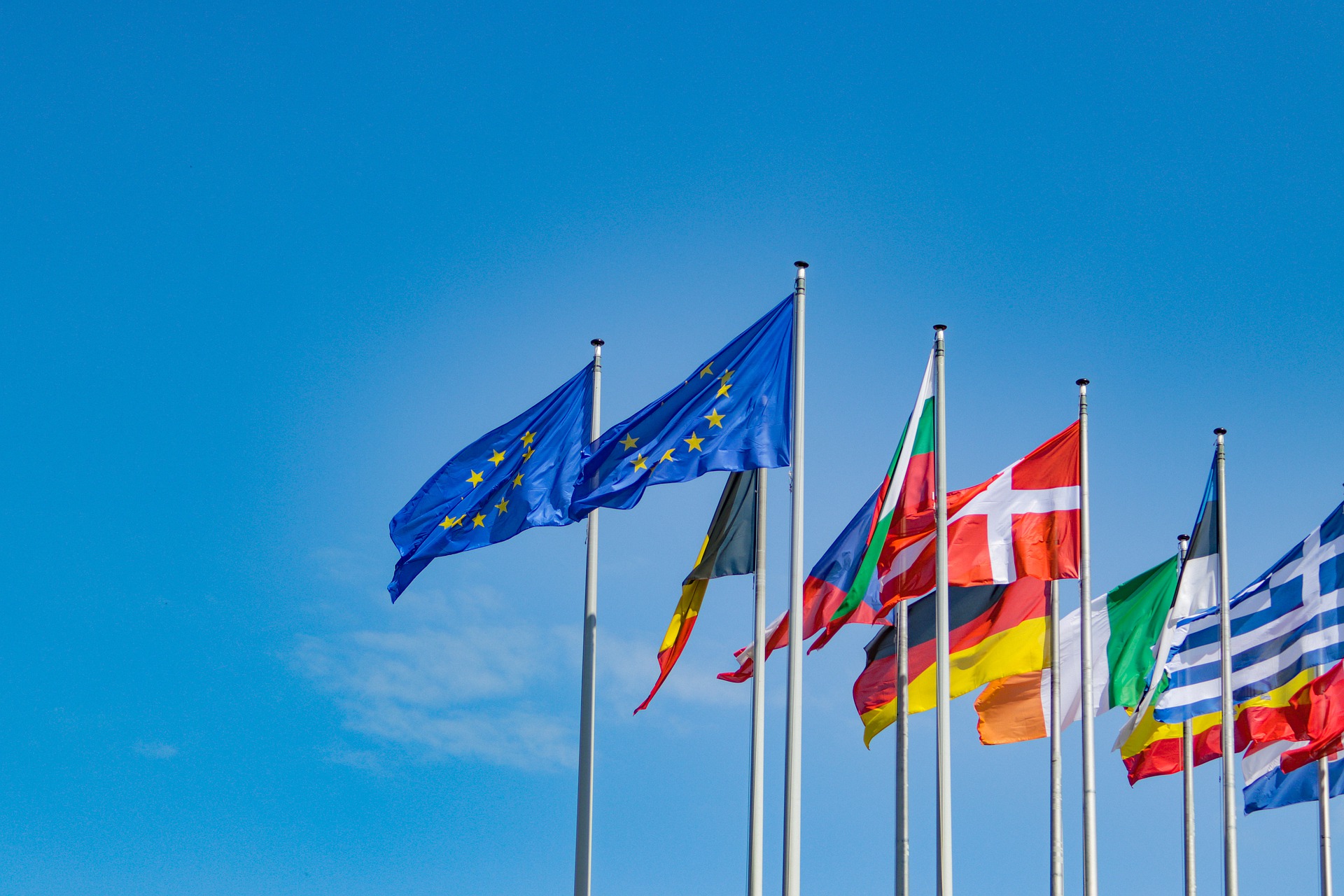 EU and other European country flags
