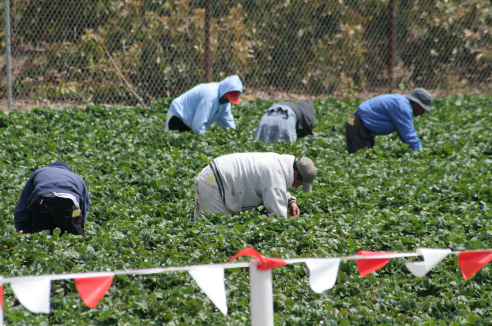 keeping-the-usa-free-from-forced-labor-what-the-private-sector-can-do