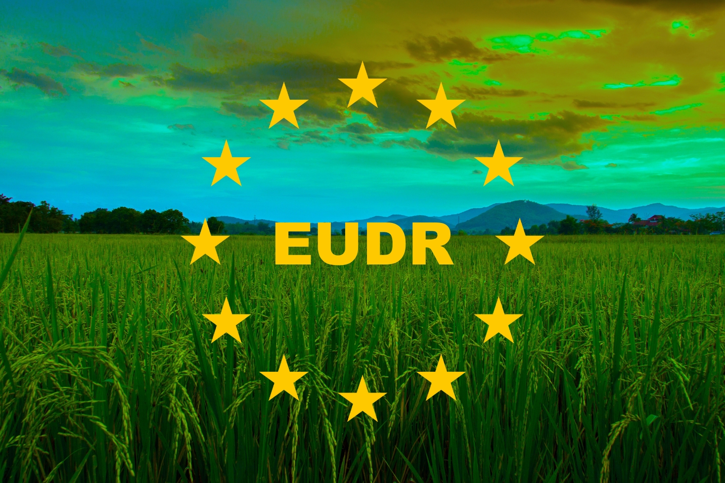 EUDR: To Protect the Forests, Protect the People