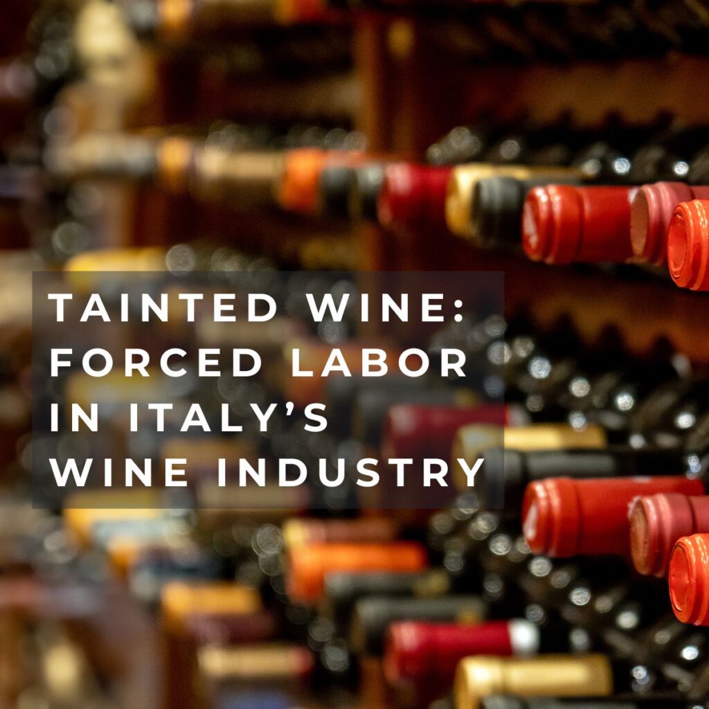 Tainted Wine: Forced Labor in Italy’s Wine Industry